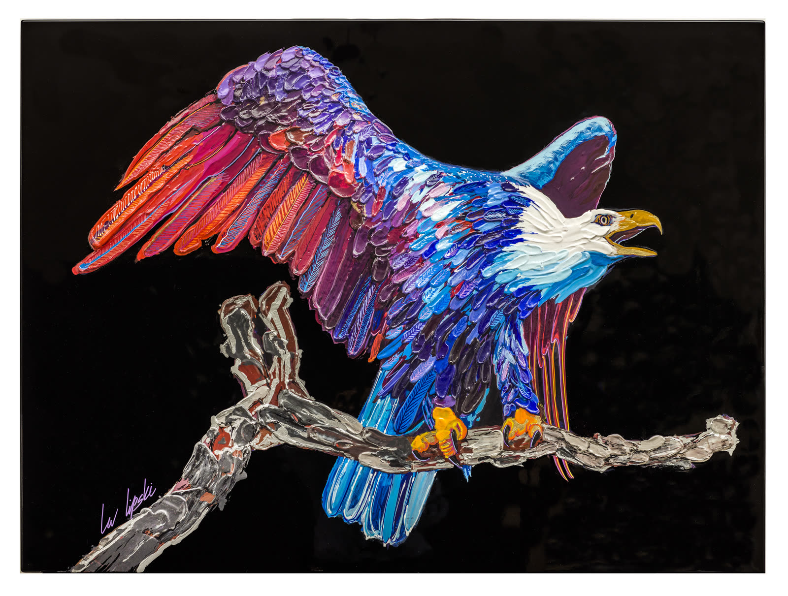 American Bald Eagle